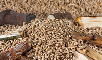 Kein Braund, sondern Holz-Pellets in einem Kaminofen haben in der Nacht eine starke Rauchentwicklung in einem Wohnhaus in Bornheim ausgelöst. 