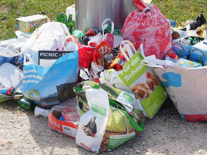Müll einsammeln. Bei der Aktion "Saubere Landschaft".