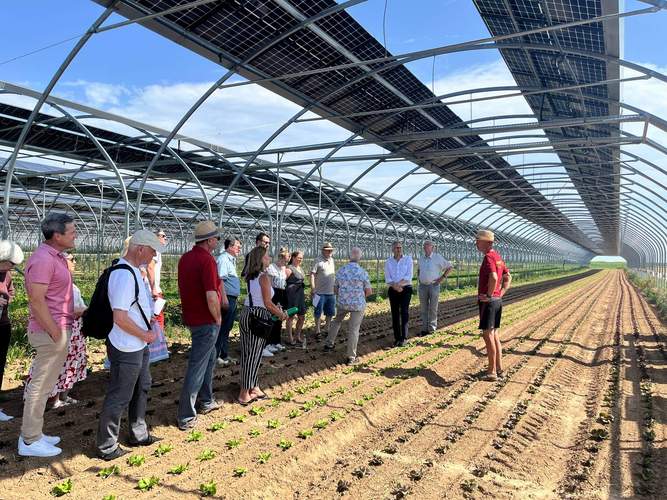 Die Mitglieder des Umwelt- und Landwirtschaftsausschusses hat sich die erste Agri-Photovoltaik-Anlage in Offenbach angesehen.