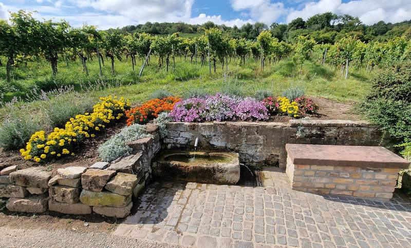 Es sind die Kleinigkeiten, die in ihrer Anzahl unsere Südpfalz so einzigartig machen. Hier der Brunnen unterhalb des Weingutes Hitziger. Foto. rw. Frei.