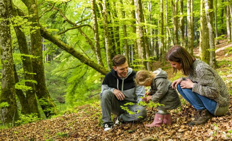 Mit der ganzen Familie den Wald entdecken. Beim Waldentdeckertag im LDer Stadtwald Taubensuhl gibt es zahlreiche Mitmachaktionen für Groß und Klein. Foto. Landesforsten. RLP. Jonathan Fieber. Pressefrei. 