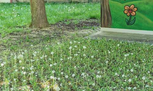 25.04.2026 - Momentaufnahme. Gewachsen.