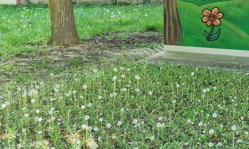 Kunst & Wirklichkeit. Gesehen am heutigen Samstagmorgen am P-Platz Schlossgärten in BZA. 