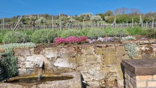 15.04.2026 - Momentaufnahme. Frühling. Willkommen zurück.
