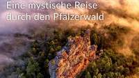 Ab 1. April geht es mit einer Foto-Ausstellung im Museum in Annweiler auf eine mystische Reise durch den Pfälzer Wald. 