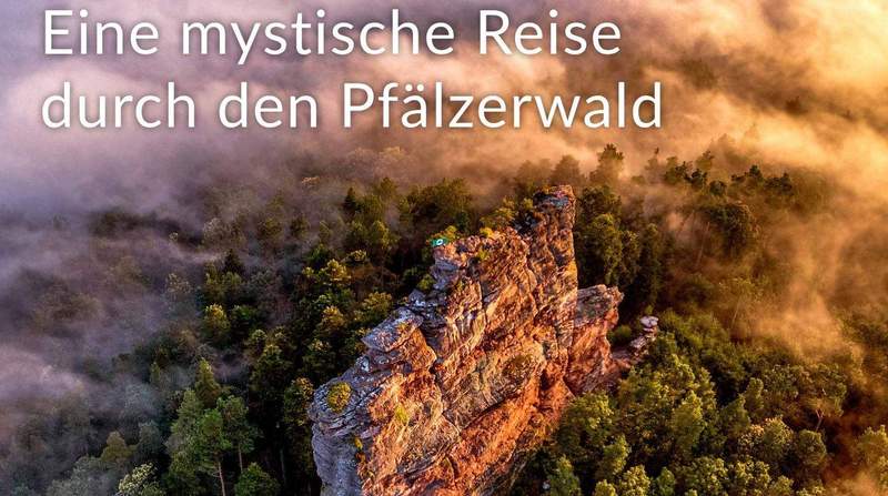 Ab 1. April geht es mit einer Foto-Ausstellung im Museum in Annweiler auf eine mystische Reise durch den Pfälzer Wald. 
