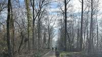 Erholungssuchende im Offenbacher Wald. Foto. Landesforsten. RLP. Micaela Mayer. Pressefrei.