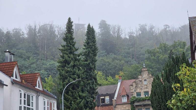 Morgenblick auf den ersten Herbstnebel in der Kurstadt. Der hölzerne Aussichtssturm nördlich über BZA etwas in "Watte" gehüllt, zwischen dien Kronen einer Zwillingstanne. Foto. rw. 