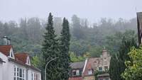 Morgenblick auf den ersten Herbstnebel in der Kurstadt. Der hölzerne Aussichtssturm nördlich über BZA etwas in "Watte" gehüllt, zwischen dien Kronen einer Zwillingstanne. Foto. rw. 