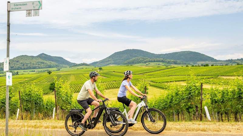 Am Dienstag und Mittwoch fand in LD die Fahrradkommunalkonferenz statt. Dort sprachen Fachleute aus Kommunen, Wissenschaft und Verbänden zu „Stadt. Land. Rad. Sicher unterwegs“. Foto. Dominik Ketz. Pfalz Touristik. Pressefrei.