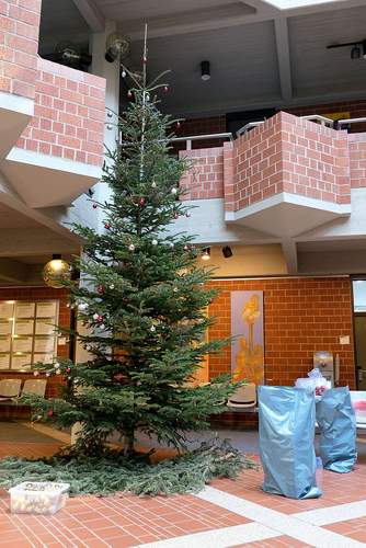 Auch der Weihnachtsbaum im Kreishaus der Südlichen Weinstraße wird derzeit abgeschmückt. Foto. KV. SÜW. Frei.