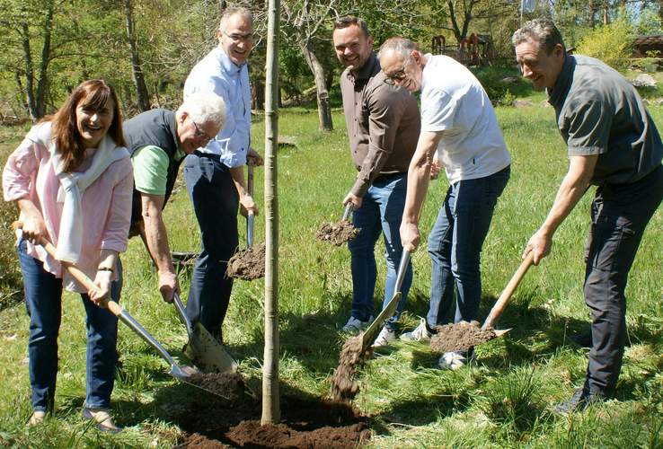 Von links. Gabriele Flach, Bürgermeisterin der VG Maikammer, Peter Hiery, Betreuer der Heckrinderbeweidung St. Martin, Landrat Dietmar Seefeldt, Timo Glaser, Ortsbürgermeister von St. Martin, Frank Moll, Beigeordneter der Ortsgemeinde St. Martin und Rainer Northoff, Revierleiter des Forstrevieres „Kalmit" (Forstamt Haardt) pflanzten gemeinsam die Roteiche. Foto. KV. SÜW. Frei.