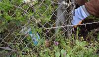 Am 6. März wird im Rahmen des Aktionstags „Sauberes LD“ wieder fleißig Müll in der Stadt gesammelt. Foto. Stadt. LD. Frei.