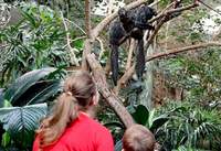 Der Zoologische Stadtgarten KA hat 2024 so viele Menschen wie noch nie begrüßen dürfen. Insgesamt konnten 1.103.824 Eintritte gezählt werden. Foto. Timo Deible. Zoo KA. Frei. 