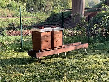 Die beiden Bienenvölker sind auch auf das Gelände der Kläranlage gezogen. Foto. VG. Frei.
