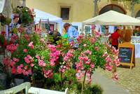 Der Rosenmarkt im Schloss-Innenhof von BZA ist immer ein Besuch wert.