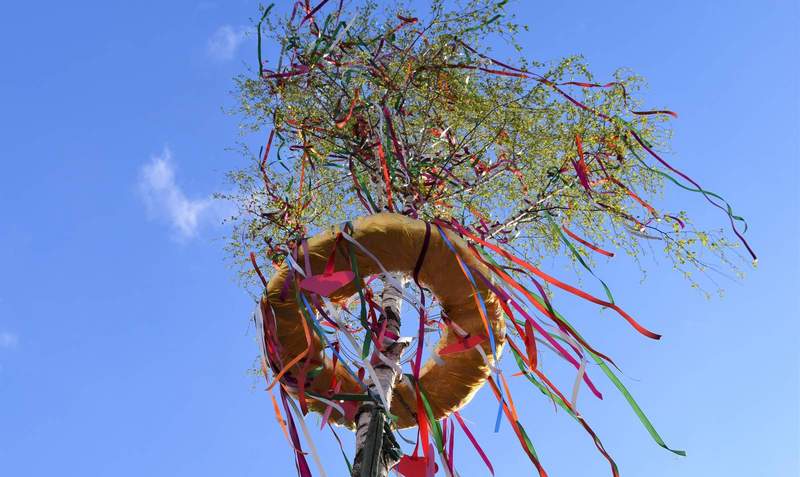 Mit ihren Maifeiern am Freitag, 1. Mai, geben die LDer Stadtdörfer Wollmesheim und Dammheim den Startschuss für die diesjährige Weinfestsaison. Foto. Stadt. LD. Frei. 