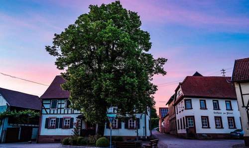 30.09.2026 - Federweißenfest. Großer Bauernmarkt. Erstmals Weinhoheit.