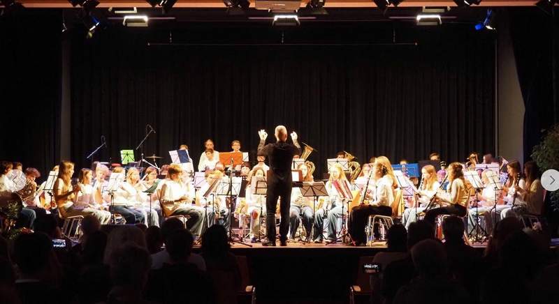 Am Sonntag, 8. März, ist ein Benefizkonzert zugunsten krebskranker Kinder mit verschiedenen Jugend-Orchestern und dem Palatina-Benefiz-Orchester. Unser Foto stammt vom Konzert, das im vergangenen Jahr in Schaidt stattfand. 