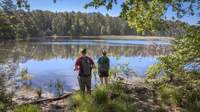 Der Pfälzer Wwald bietet ein einzigartiges Naturerlebnis. Welche Veränderungen bringt der Klimawandel? Foto. Biosphärenreservat Pfälzerwald-Nordvogesen. Yvon Meyer. Pressefrei. 