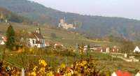 Das Weinfest in Gleiszellen, hier zwischen Dionysius-Kapelle im Vordergrund und der Burg Landeck im Hintergrund gelegen, ist ein bezaubernd-einladendes Event, wurde sogar schon als schönsten Weinfest der Pfalz ausgezeichnet. 