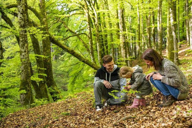 Mit der ganzen Familie den Wald entdecken. Beim Waldentdeckertag im LDer Stadtwald gibt es zahlreiche Mitmachaktionen für Groß und Klein. Foto. Landesforsten.RLP.de/Jonathan Fieber. Frei. 