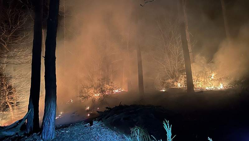 Rund ein Hektar Wald ging Ende März in BZA in Flammen auf.