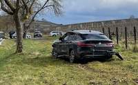 Nach 3 geparkten Autos in Leinsweiler war außerhalb des Ortes im Weinberg Endstation.