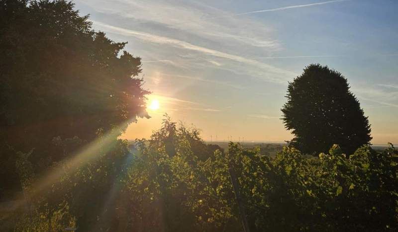 Die Sonne strahlt. Über der Südpfalz. Hier südlich von BZA. Danke an die Leserin, die uns das Foto vom heutigen Montagmorgen geschickt hat. Foto. Privat.