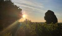 Die Sonne strahlt. Über der Südpfalz. Hier südlich von BZA. Danke an die Leserin, die uns das Foto vom heutigen Montagmorgen geschickt hat. Foto. Privat.