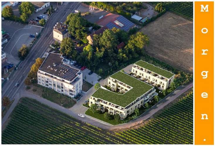 Morgen mehr zu den geplanten Neubauten auf der Wollmesheimer Höhe. Hier die beiden Gebäude mit Dachbegrünung. Foto. Fa. ABL. Frei. 