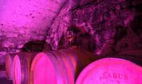 Morgen, Samstag, starten die Mandelblütenwochen. In Ermangelung blühender Bäume tun es erst einmal die pink erleuchteten Weinkeller. Foto. Verein SÜW. Weingut Bengel. Frei.