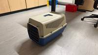 An der Straße zwischen Herxheim und Hatzenbühl ausgesetzt. Drei Katzen in einer Box.