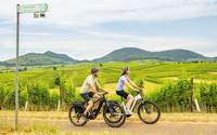 Die Schaffung von Radverkehrsnetzen zwischen Stadt und Umland steht im Zentrum der Fahrradkommunalkonferenz in LD. Foto. Pfalz-Touristik. Dominik Ketz. Frei.