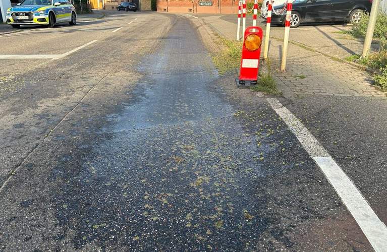 Großflächiger Trauben-Rutsch-Teppich auf der Straße. In Edesheim. 