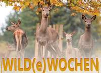 Herbstfest im Wild- und Wanderpark in Silz. Am 12. Oktober.