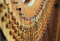 Abschlusskonzert von "Jugend musiziert" für die Südpfalz ist am Sonntag, 2. März. Die Bevölkerung ist in die Stadthalle GER eingeladen. Das Konzert beginnt um 11 Uhr. Symbolfoto. Pixabay. Fei. 