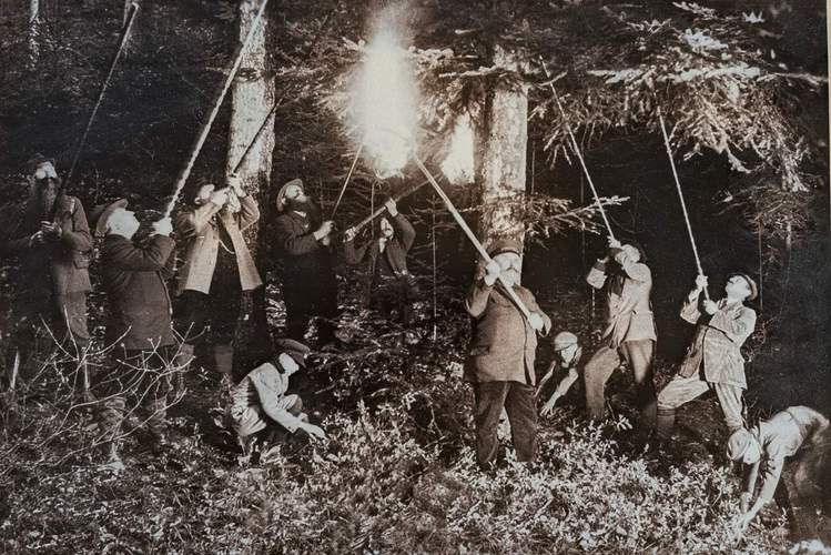 So war's einst. Das historische Foto zeigt die Böhämmer-Jagd. Ein Mann hielt eine Stangen-Fackel in die Bäume, in denen die Bergfinken schliefen, die Jäger gingen mit ihren Blasrohren zur Sache. Die Kinder (vorne rechts und links) lasen die erlegten Vögel auf. Foto. Verein. 