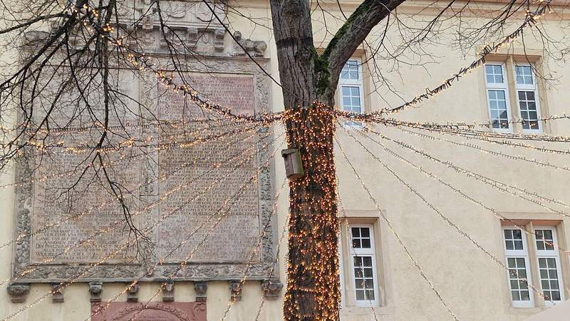 Das Leucht an der zentralen Linde inmitten des Schlosshofes sorgt in der Dunkelheit für ein besonderes Ambiente. Foto. rw. 
