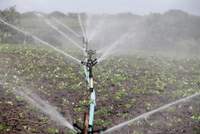Ein Landwirt hat die A 65 am Rastplatz Spechtersee bei Haßloch durch offensichtlich falsch eingestellte Beregnungshähne unter Wasser gesetzt. 