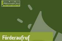 Kleine Projekte auf lokaler Ebene können gefördert werden. Jetzt bewerben. 