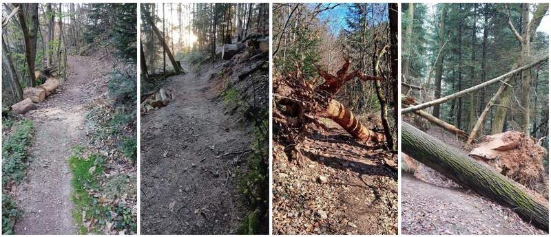 Ein Dreivierteljahr war der beliebte Wanderweg Martinspfad nördlich des Kurtales in BZA wegen Baumbruches gesperrt. Nun ist er wieder frei begehbar. Die Nachher-Vorher-Fotos stammen von Ernst Brauer. Danke schön an dieser Stelle.
