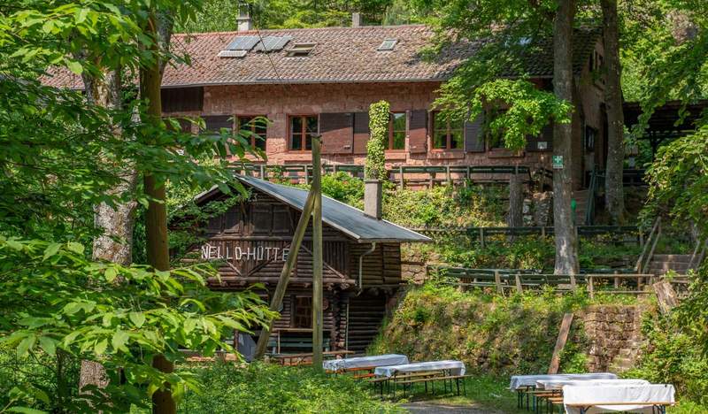 Hütten im Pfälzer Wald. Touren aufgelegt. 
