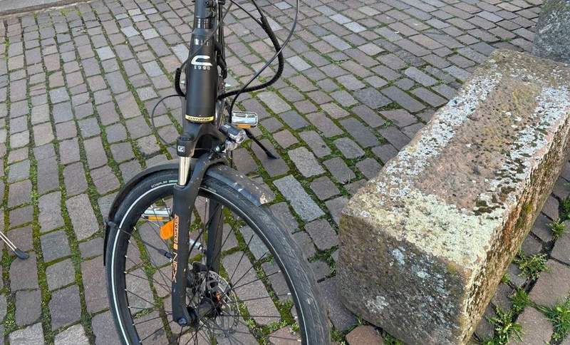 Das mit einem Mountainbike verunfallte Pedelec. Passiert am gestrigen Sonntag in Rhodt. 