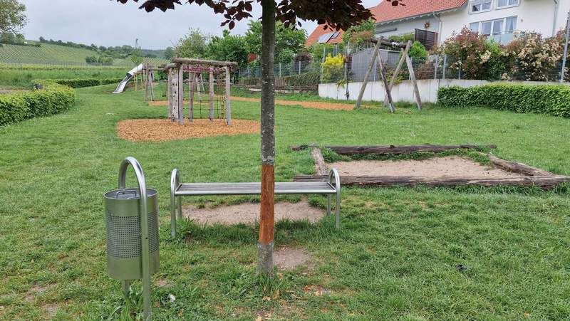 Geschält. Der Stamm einer rund 10 Jahre alten Blutbuche auf dem Kinderspielplatz im Baugebiet "Im Wingert" in BZA. Foto. rw. 