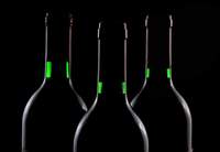 Ein Seminar zum Thema, den Unterschied bei Weinen zu erkennen. Und zwar zwischen einem guten und einem außergewöhnlichen Wein. Foto. Pixabay. Frei. 
