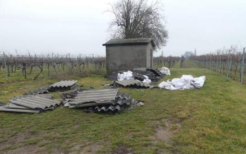 Zig asbest-haltige Eternitplatten wurden in Kirrweiler in die Weinberge geworfen. 