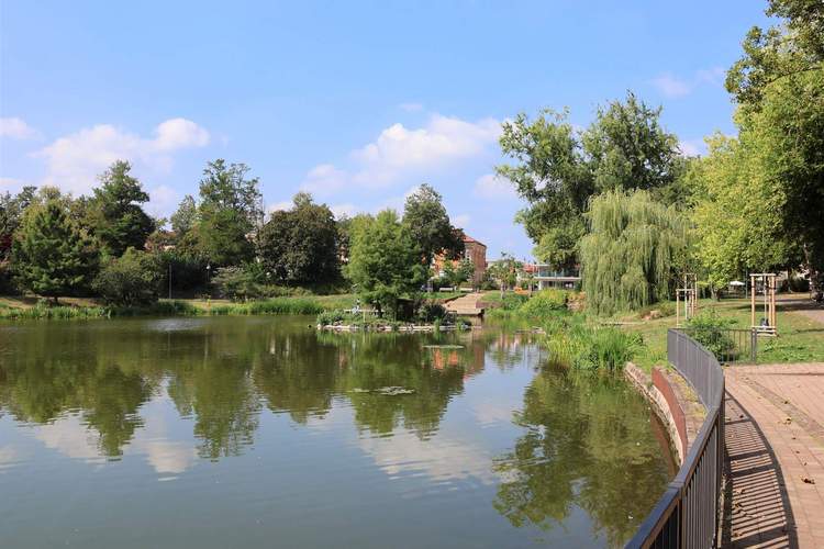 Der vor wenigen Jahren umgestaltete Ostpark in LD ist Teil des diesjährigen Programms beim Tag der Architektur. Foto. Stadt. LD. Frei. 