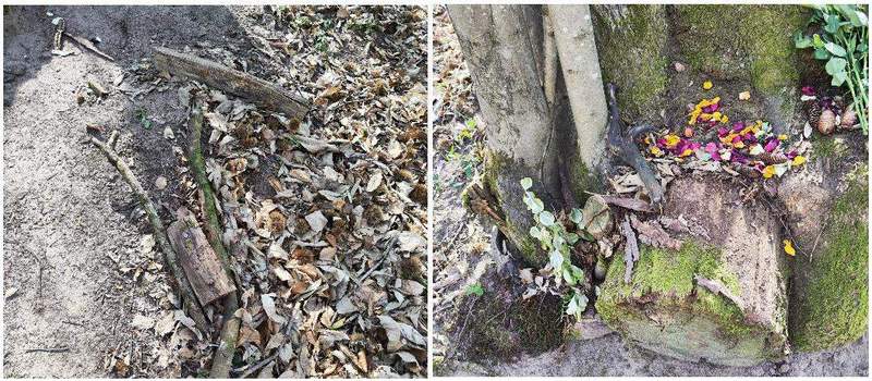 Wüterich(e) unterwegs auf der Trifels-Ruhe bei Annweiler. 