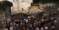 Beim KAer Nacht-Zoo können die Zoogäste kommentierte Fütterungen in einer ganz besonderen Sommerabend-Stimmung erleben. Archivfoto. Zoo KA. Timo Deible. Frei.